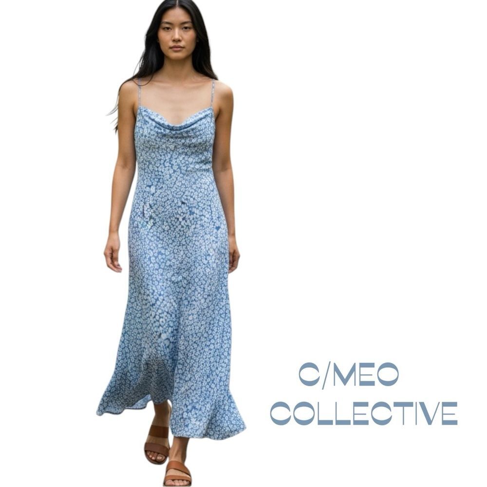 Anthropologie C/MEO Collective Blue White Floral Maxi Dress NWOT Size S